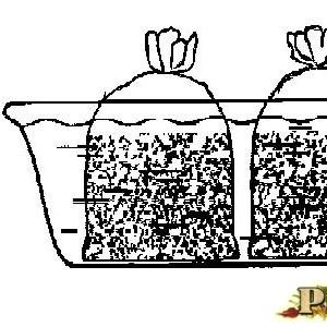 Субстрат для выращивания вешенки Выращивание вешенки на тюках соломы